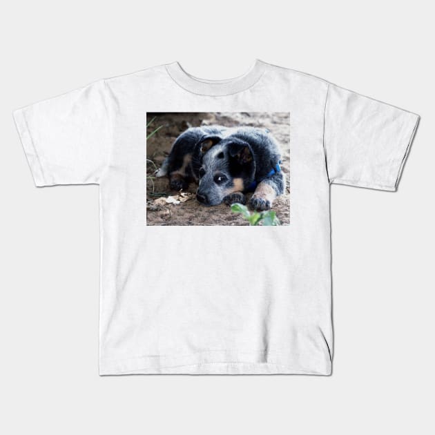 52017 pup1 Kids T-Shirt by pcfyi